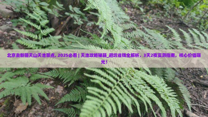 北京去新疆天山天池景点