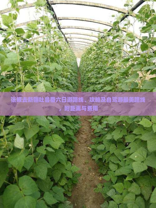 张掖去新疆吐鲁番六日游