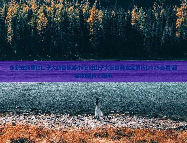 永新去新疆独山子大峡谷旅游小吃