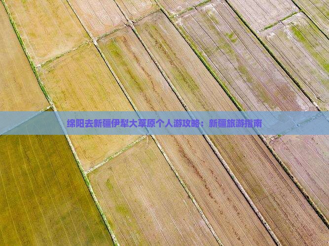 绵阳去新疆伊犁大草原个人游
