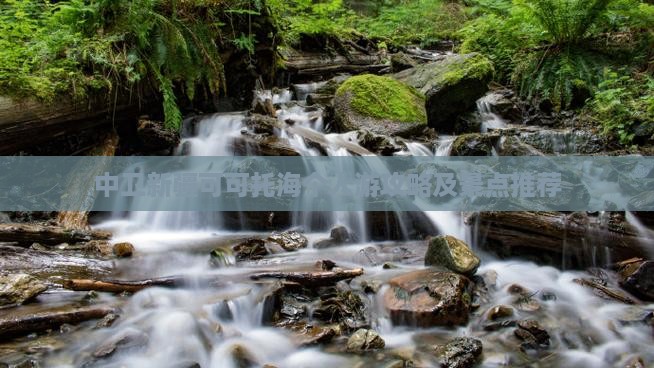 中卫去新疆可可托海个人游 中卫去新疆可可托海个人游