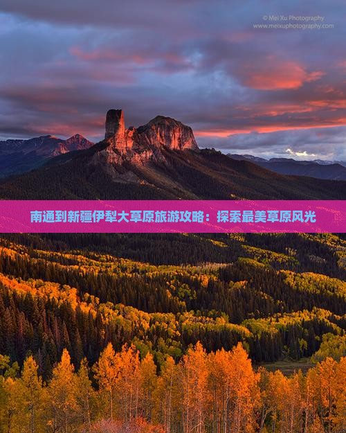 南通去新疆伊犁大草原自由团