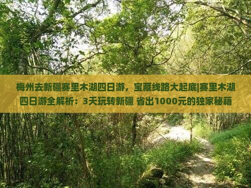 梅州去新疆赛里木湖四日游
