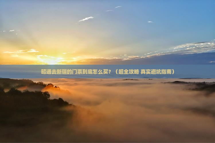 昭通到新疆门票