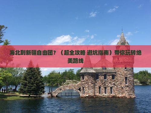 海北到新疆自由团