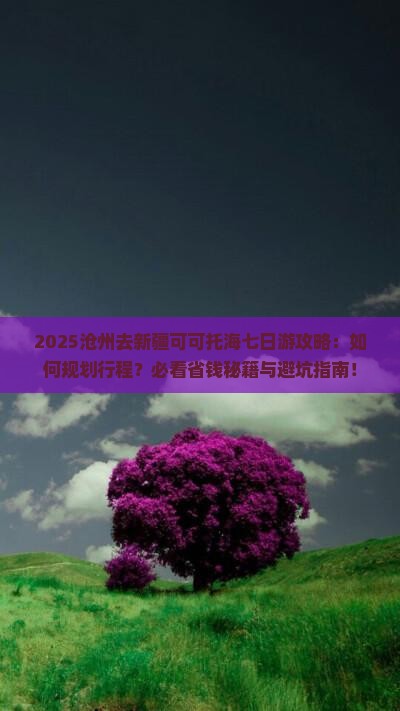 沧州去新疆可可托海七日游