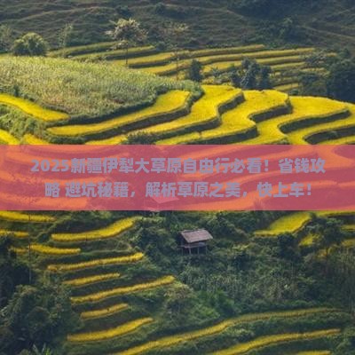 西宁去新疆伊犁大草原自由行
