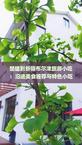 楚雄到新疆布尔津旅游小吃