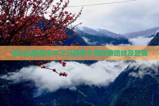 保山去新疆禾木三日游