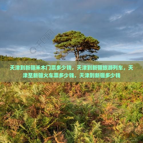 天津到新疆禾木门票