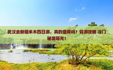 武汉去新疆禾木四日游