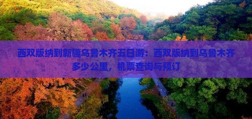 西双版纳到新疆乌鲁木齐五日游