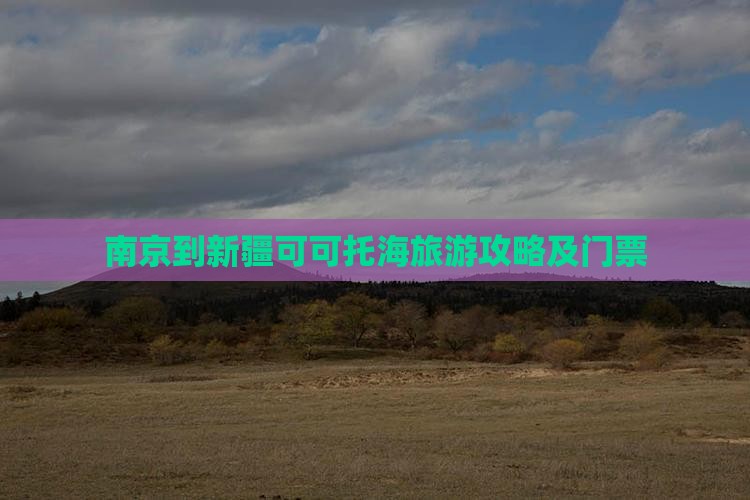 南京到新疆可可托海门票