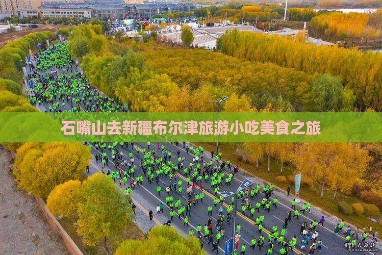 石嘴山去新疆布尔津旅游小吃