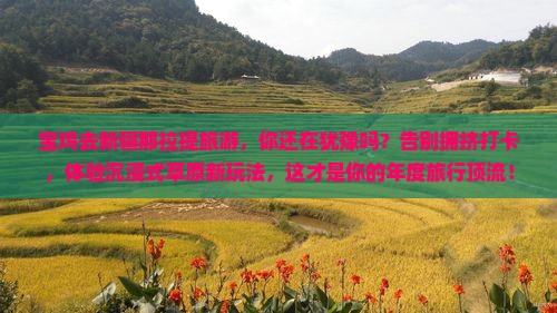 宝鸡去新疆那拉提旅游