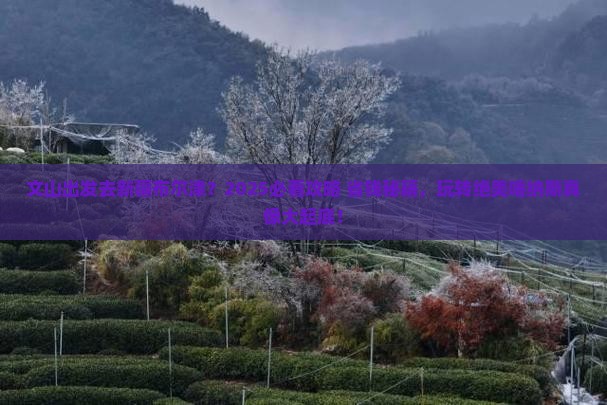 文山去新疆布尔津哪里玩