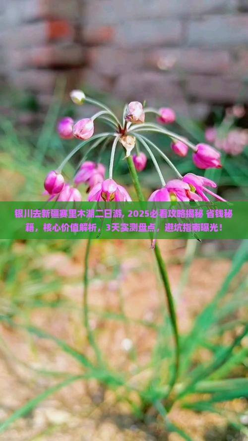 银川去新疆赛里木湖二日游