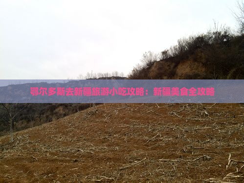 鄂尔多斯去新疆旅游小吃