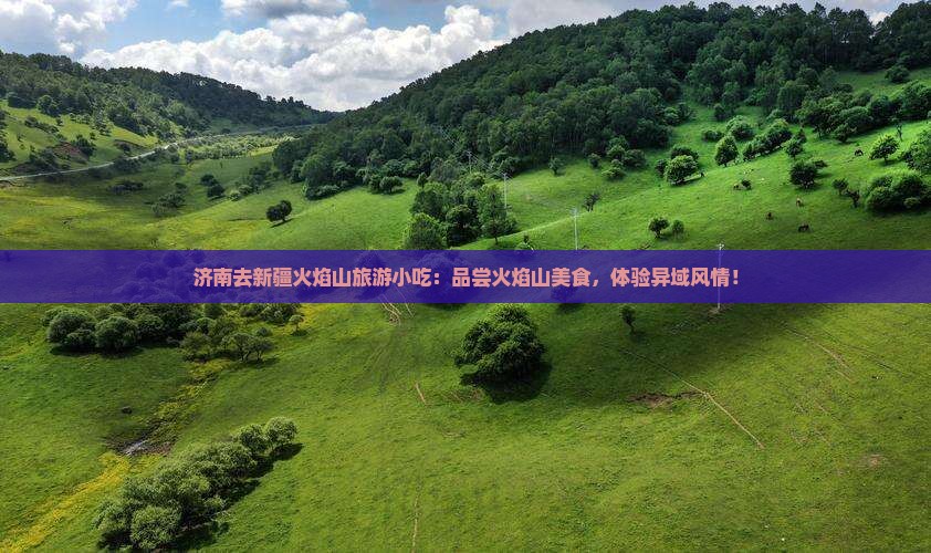 济南去新疆火焰山旅游小吃
