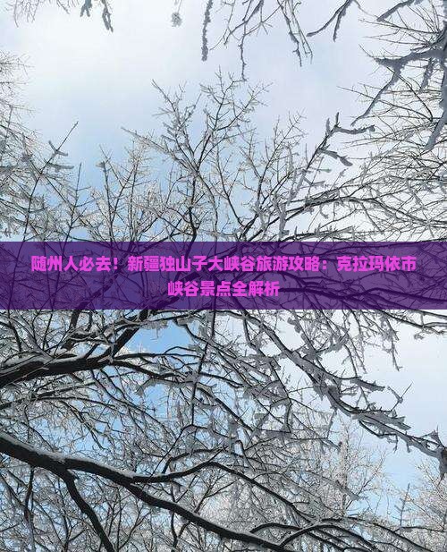 随州去新疆独山子大峡谷必去地