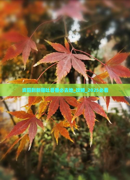 资阳到新疆吐鲁番必去地