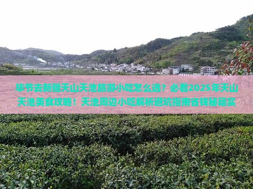 毕节去新疆天山天池旅游小吃