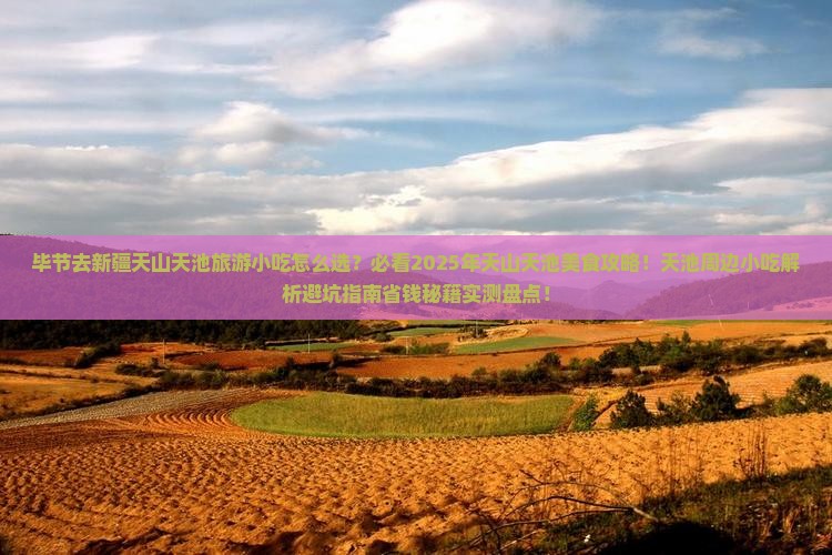 毕节去新疆天山天池旅游小吃