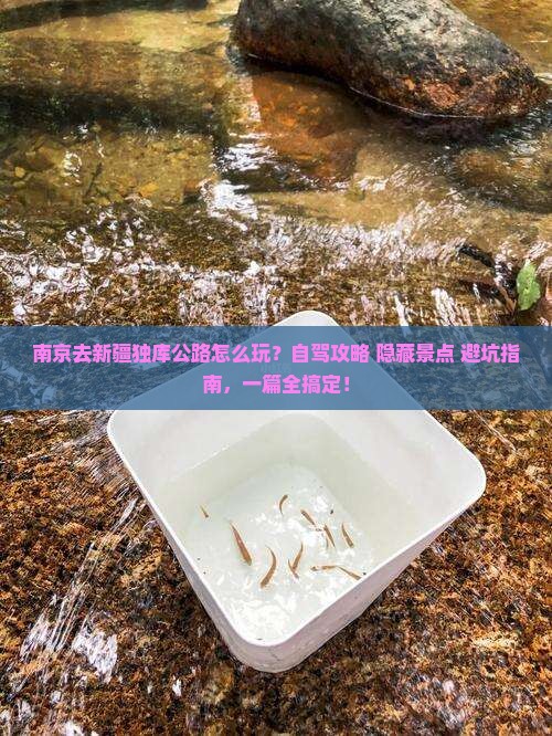 南京去新疆独库公路哪里玩