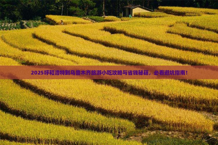 呼和浩特到新疆乌鲁木齐旅游小吃
