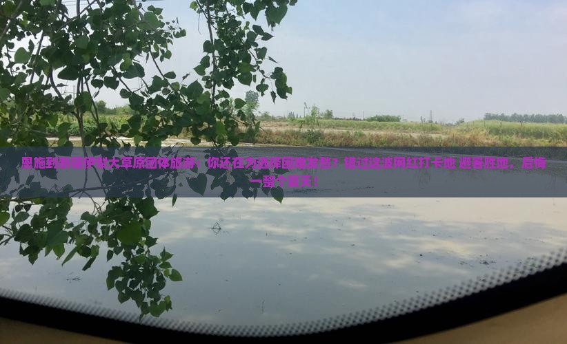 恩施到新疆伊犁大草原团体旅游