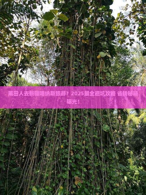 莆田去新疆喀纳斯旅游