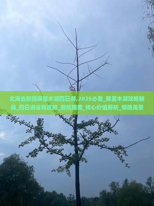 北海去新疆赛里木湖四日游
