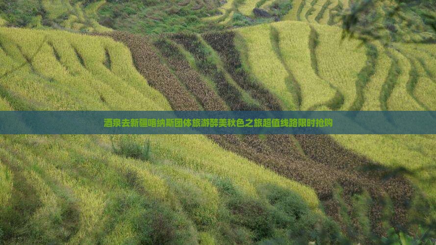 酒泉去新疆喀纳斯团体旅游