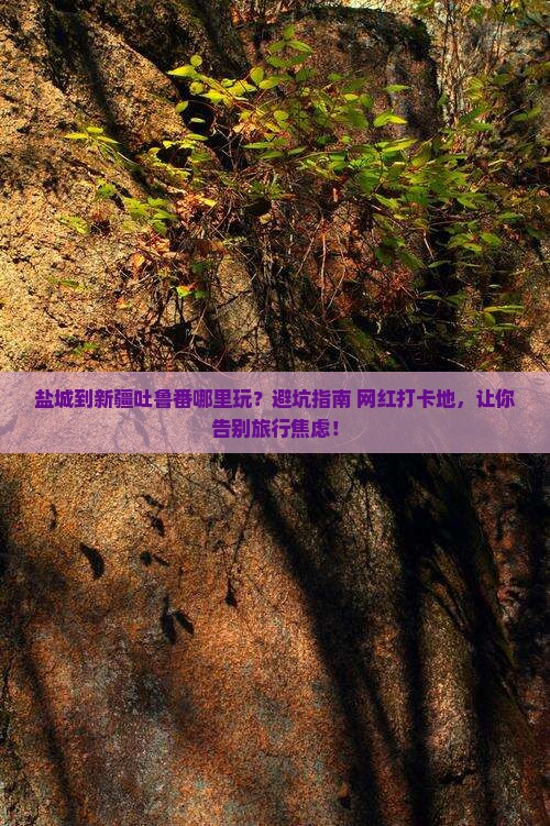 盐城到新疆吐鲁番哪里玩