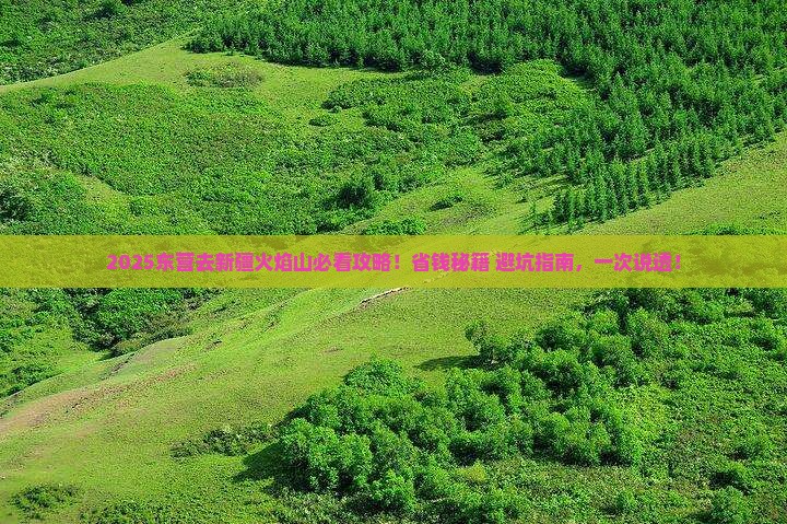东营去新疆火焰山旅行社