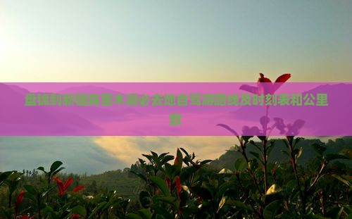 盘锦到新疆赛里木湖必去地