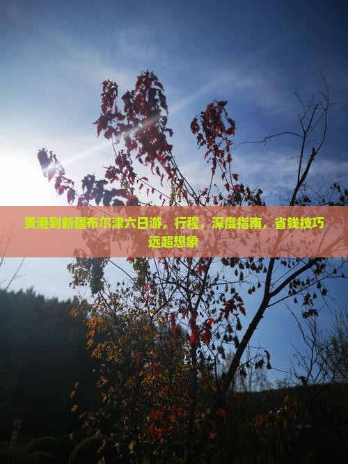 贵港到新疆布尔津六日游