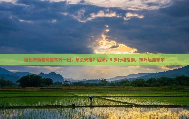 通化去新疆乌鲁木齐一日