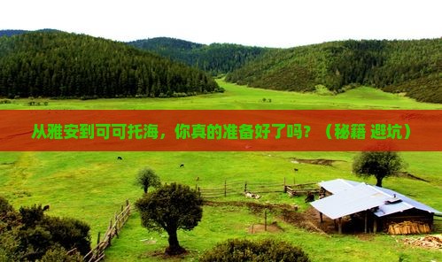 雅安去新疆可可托海个人游
