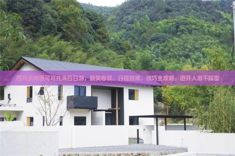 四月去新疆可可托海四日游