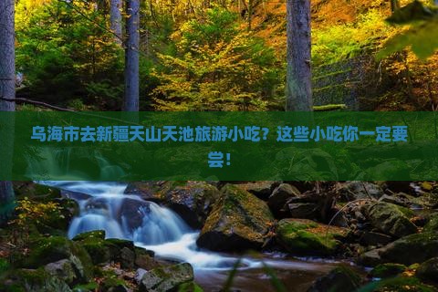 乌海市去新疆天山天池旅游小吃