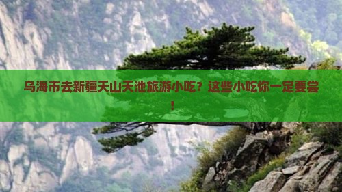 乌海市去新疆天山天池旅游小吃