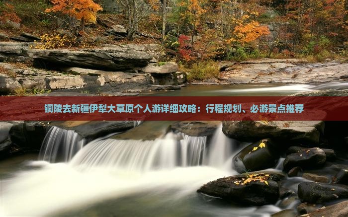 铜陵去新疆伊犁大草原个人游
