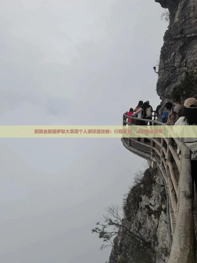 铜陵去新疆伊犁大草原个人游