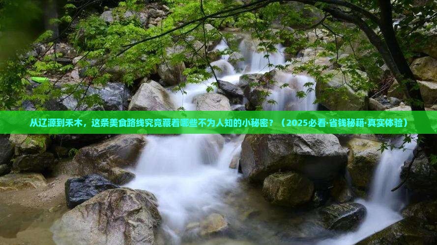 辽源到新疆禾木旅游小吃