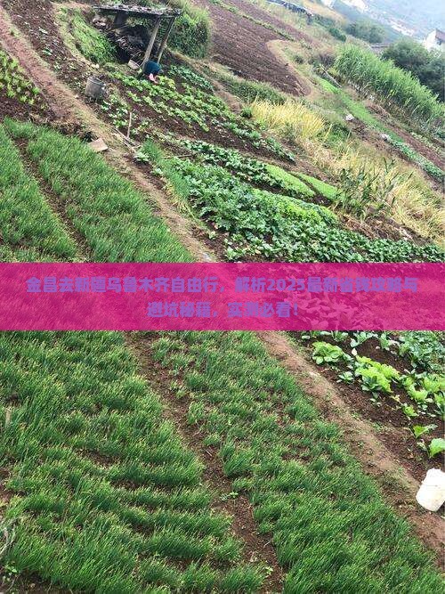 金昌去新疆乌鲁木齐自由行 金昌去新疆乌鲁木齐自由行