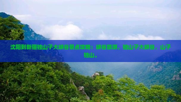 沈阳到新疆独山子大峡谷景点