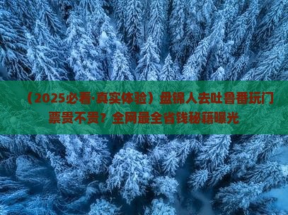 盘锦到新疆吐鲁番门票