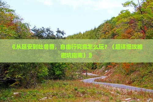 延安去新疆吐鲁番自由行