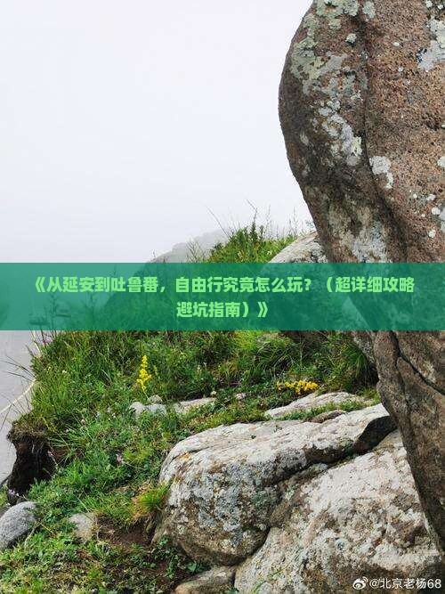 延安去新疆吐鲁番自由行